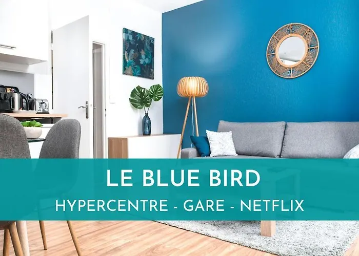 Le Blue Bird - Hypercentre - Gare - ToulouseCozyFlat